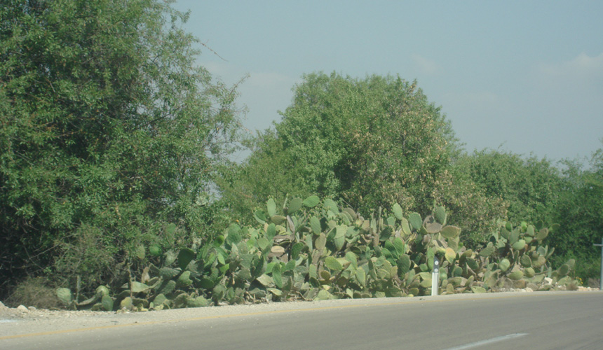ajour2