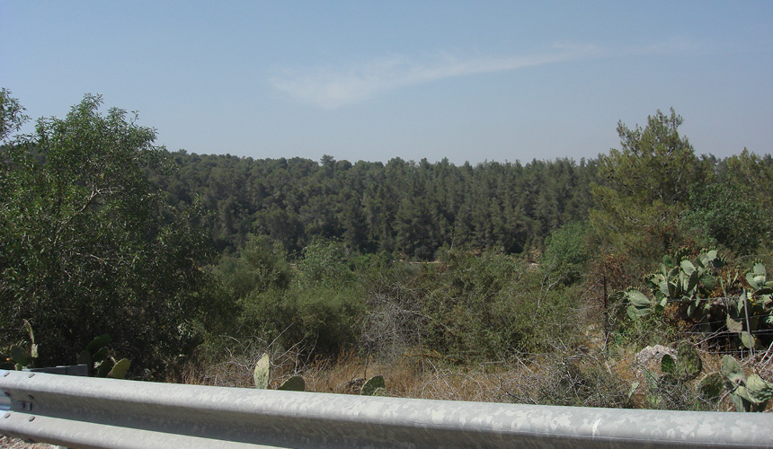 ajour37